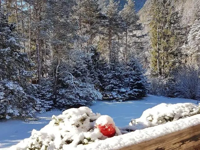 Abete Bianco * Auronzo di Cadore