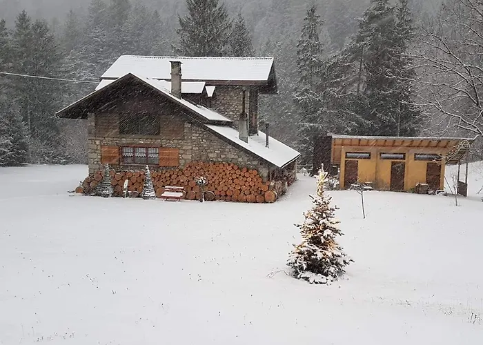 Abete Bianco * Auronzo di Cadore