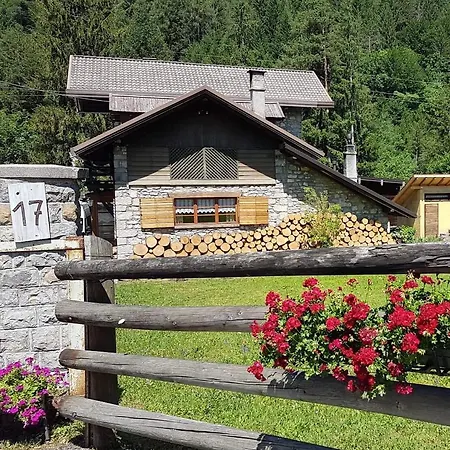 Abete Bianco ארונצו די קדורה