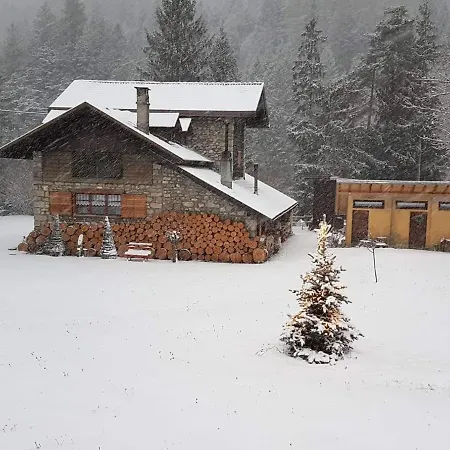 Abete Bianco * ארונצו די קדורה