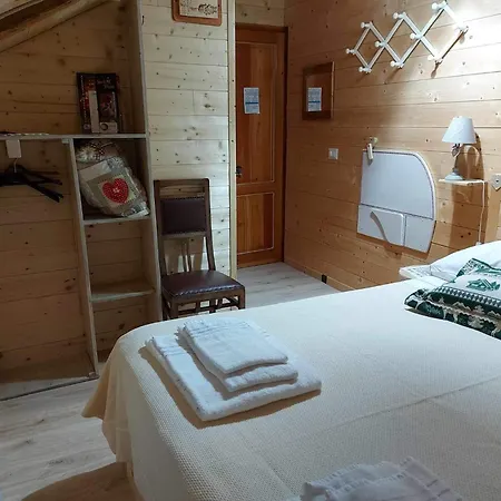 Abete Bianco Auronzo di Cadore