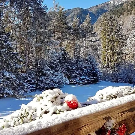 Abete Bianco أورونزو دي كادوري